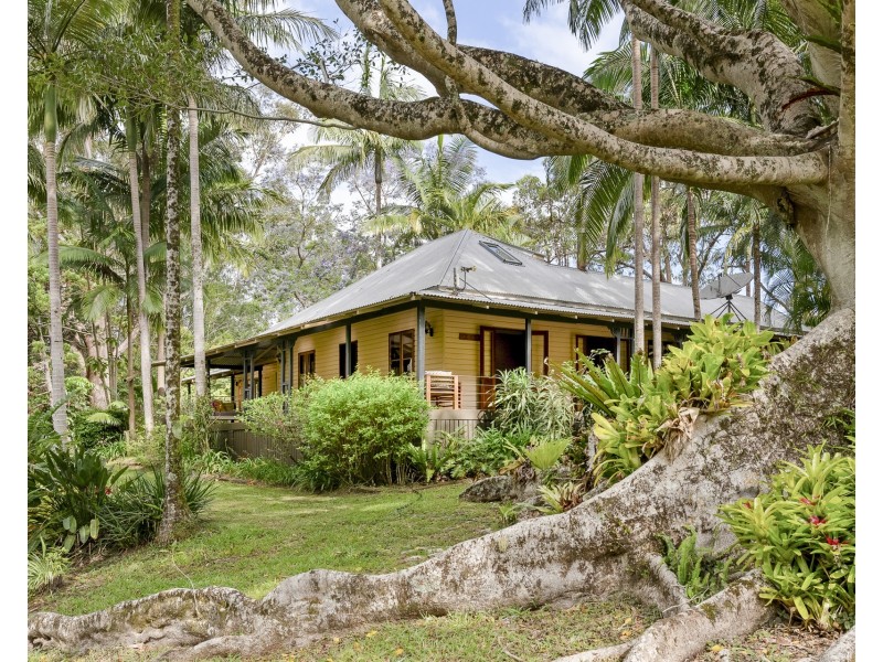 56 Cedar Road, Wilsons Creek NSW 2482