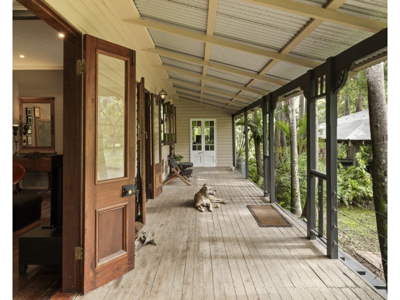 56 Cedar Road, Wilsons Creek NSW 2482