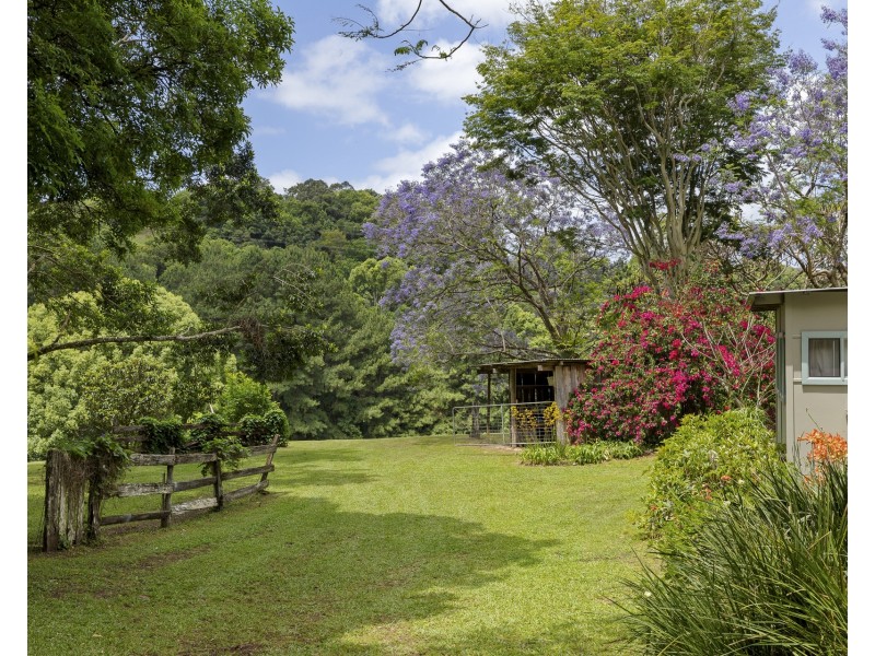 56 Cedar Road, Wilsons Creek NSW 2482
