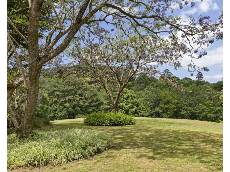 56 Cedar Road, Wilsons Creek NSW 2482