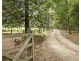 56 Cedar Road, Wilsons Creek NSW 2482