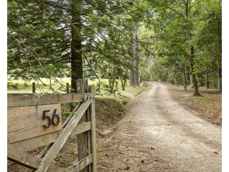56 Cedar Road, Wilsons Creek NSW 2482