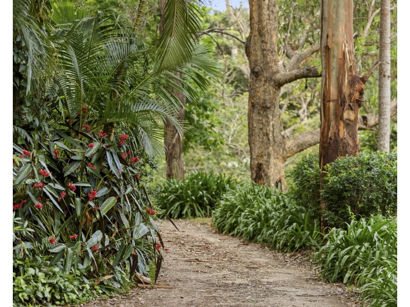 56 Cedar Road, Wilsons Creek NSW 2482