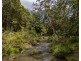 56 Cedar Road, Wilsons Creek NSW 2482