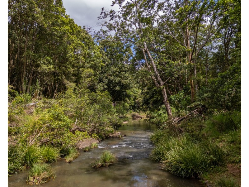 56 Cedar Road, Wilsons Creek NSW 2482