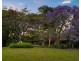 56 Cedar Road, Wilsons Creek NSW 2482