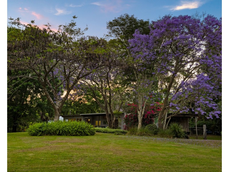 56 Cedar Road, Wilsons Creek NSW 2482