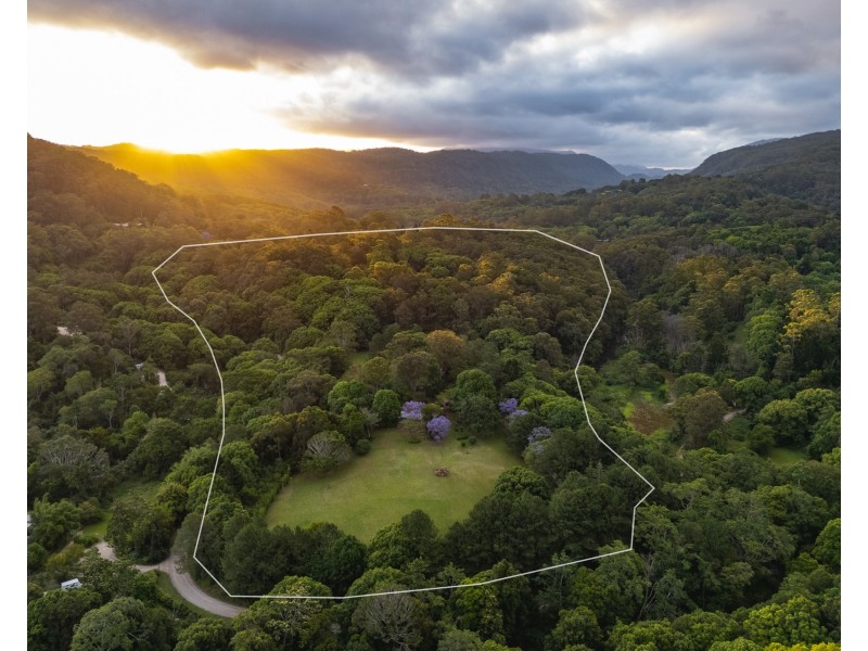 56 Cedar Road, Wilsons Creek NSW 2482