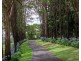 231 Sneaths Road, Wollongbar NSW 2477