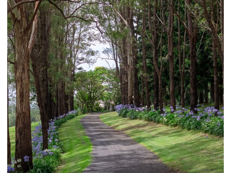 231 Sneaths Road, Wollongbar NSW 2477