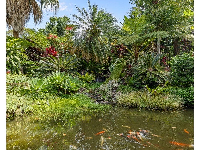 231 Sneaths Road, Wollongbar NSW 2477