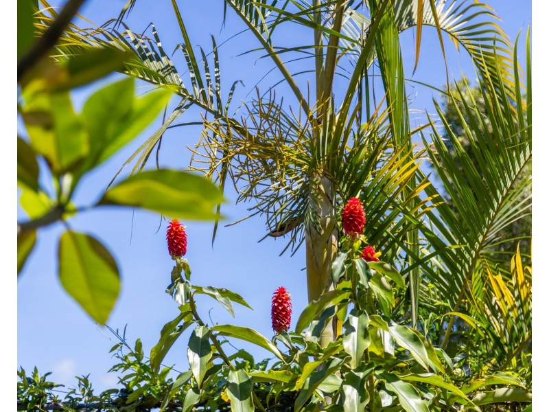 29B Julian Rocks Drive, Byron Bay NSW 2481