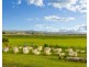 325 Riverbank Road, Pimlico NSW 2478