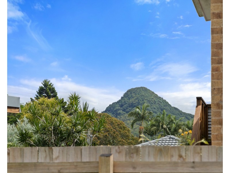 16 Pine Avenue, Mullumbimby NSW 2482