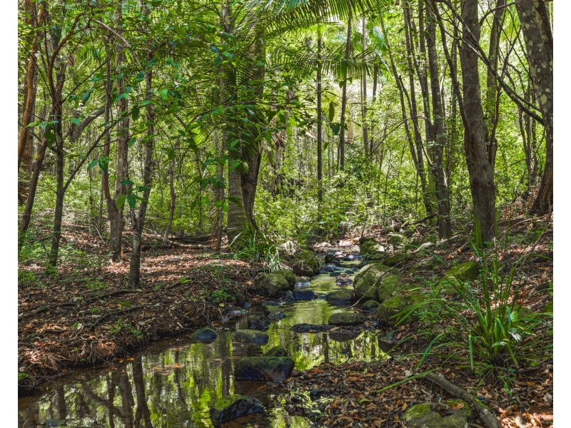 446 Binna Burra Road, Federal NSW 2480