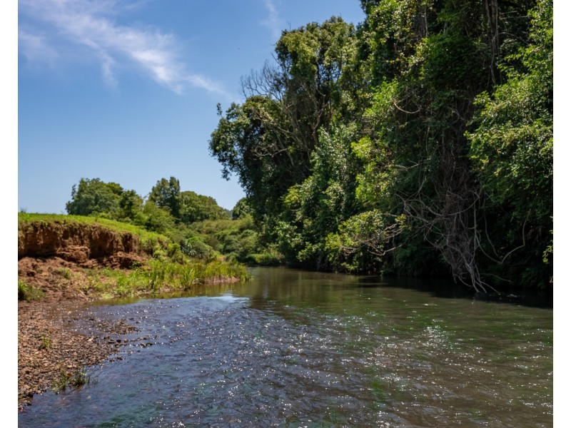 446 Binna Burra Road, Federal NSW 2480