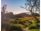 168 Grays Lane, Tyagarah NSW 2481