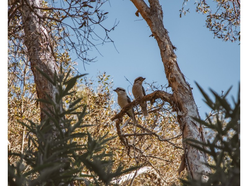 12 Glasgow Street, Suffolk Park NSW 2481