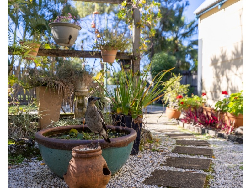 12 Glasgow Street, Suffolk Park NSW 2481