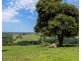 131 Taylors Road, Nashua NSW 2479
