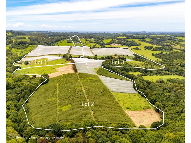 769 Fernleigh Road, Brooklet NSW 2479