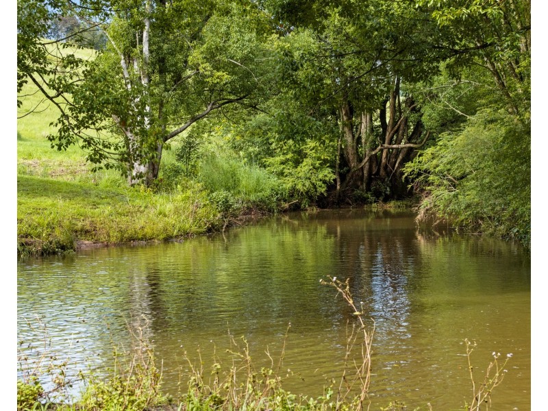 769 Fernleigh Road, Brooklet NSW 2479