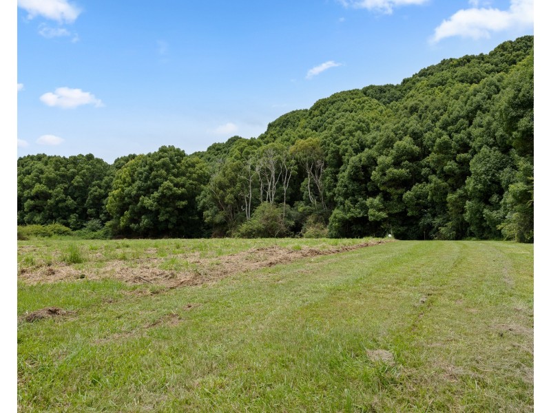 769 Fernleigh Road, Brooklet NSW 2479