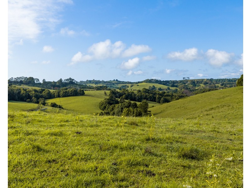 769 Fernleigh Road, Brooklet NSW 2479