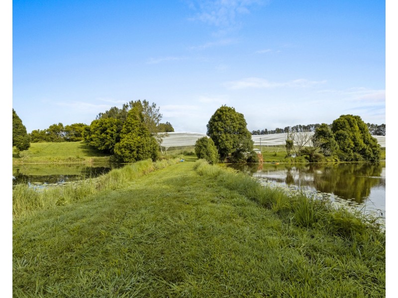 769 Fernleigh Road, Brooklet NSW 2479