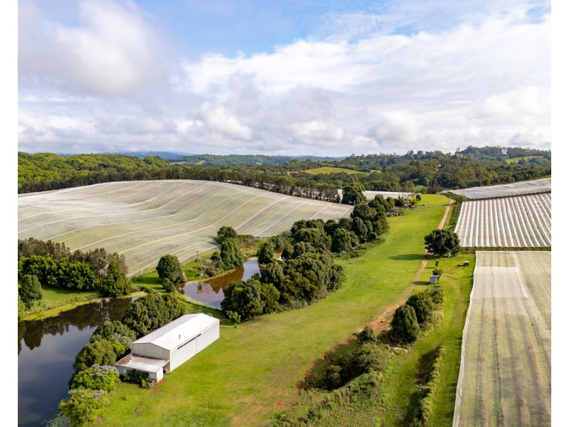 769 Fernleigh Road, Brooklet NSW 2479
