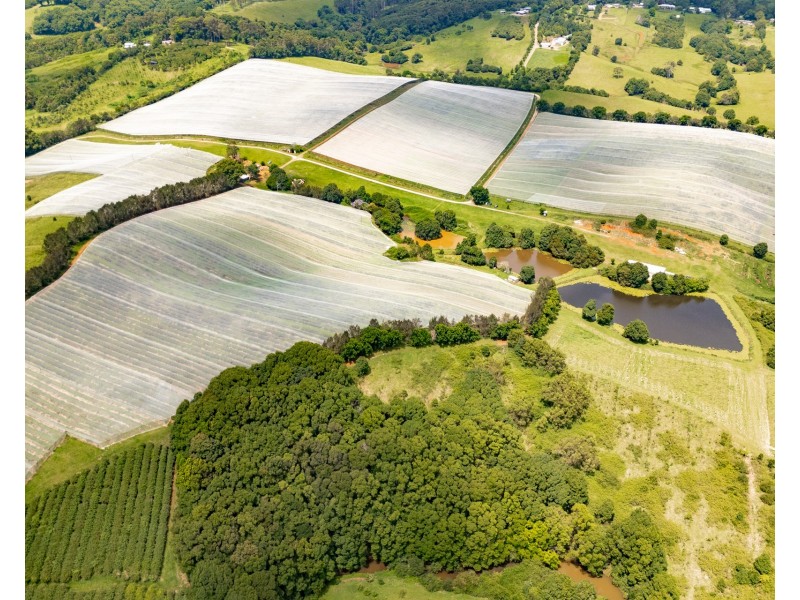 769 Fernleigh Road, Brooklet NSW 2479