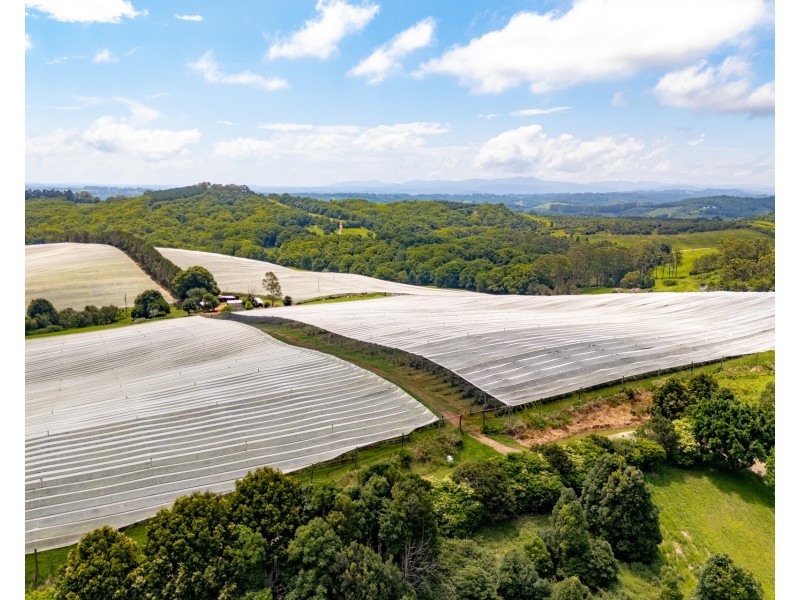 769 Fernleigh Road, Brooklet NSW 2479