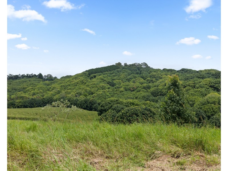 769 Fernleigh Road, Brooklet NSW 2479