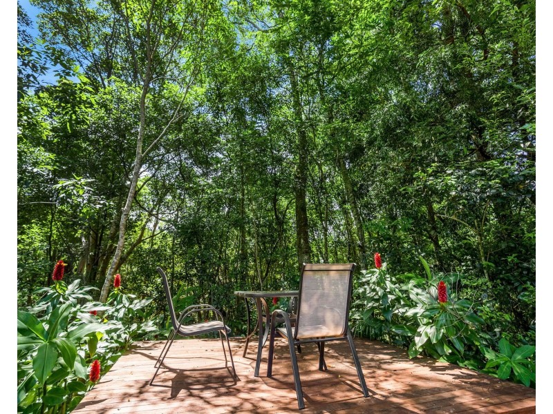 60 Alidenes Road, Wilsons Creek NSW 2482