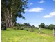 637 Booyong Road, Booyong NSW 2480