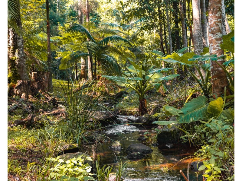 50 Possum Creek Road, Bangalow NSW 2479