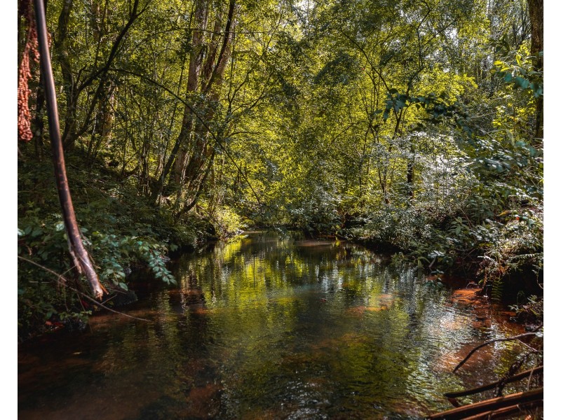 50 Possum Creek Road, Bangalow NSW 2479