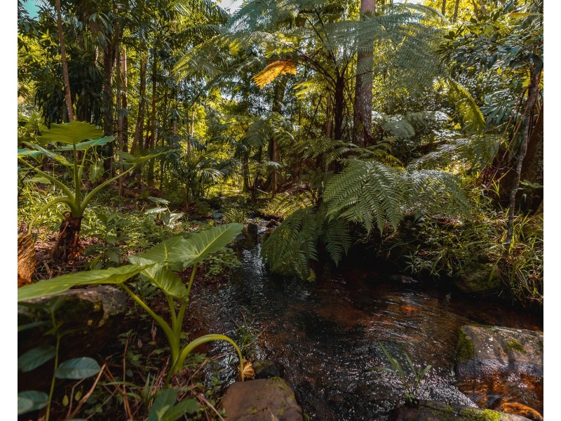 50 Possum Creek Road, Bangalow NSW 2479