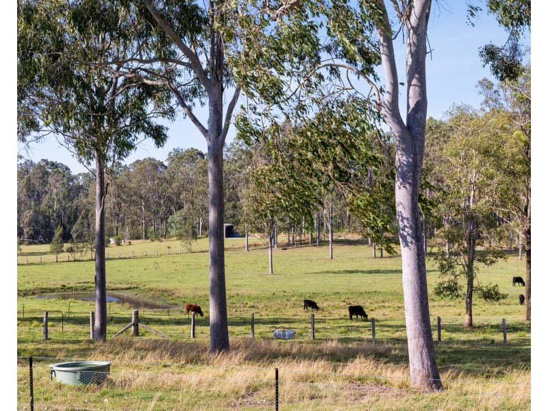 163 March Street, Lawrence NSW 2460