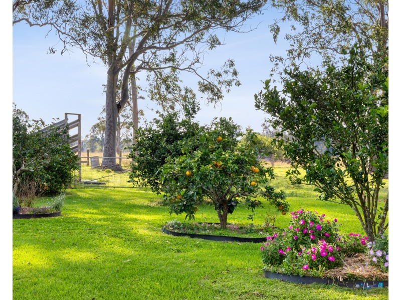 163 March Street, Lawrence NSW 2460