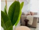 18/12 Clarence Street, Yamba NSW 2464