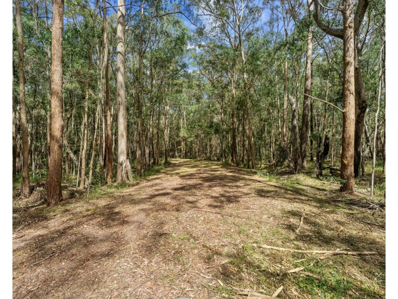 10 Fantail Close, James Creek NSW 2463