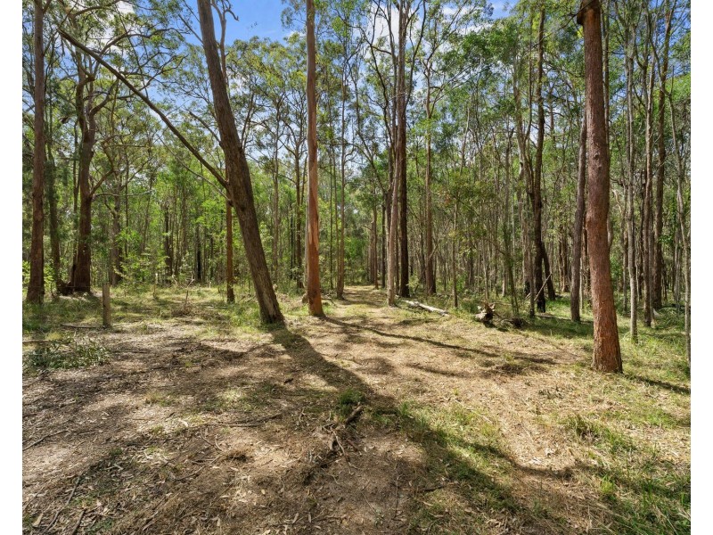 10 Fantail Close, James Creek NSW 2463