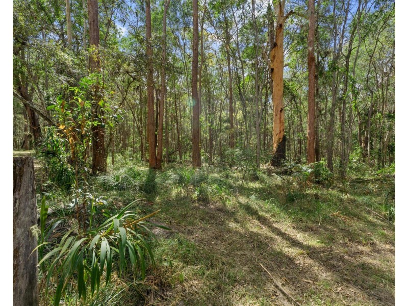 10 Fantail Close, James Creek NSW 2463