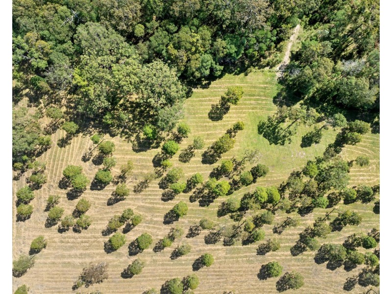 10 Fantail Close, James Creek NSW 2463