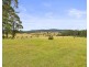 1742 Wooli Road, Pillar Valley NSW 2462
