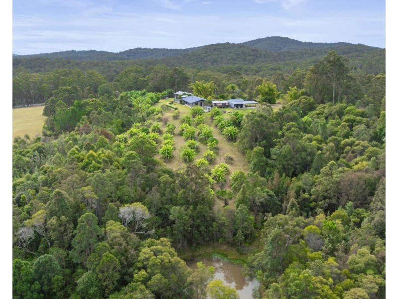 1742 Wooli Road, Pillar Valley NSW 2462