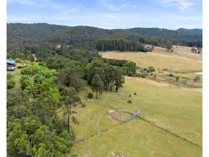 1742 Wooli Road, Pillar Valley NSW 2462
