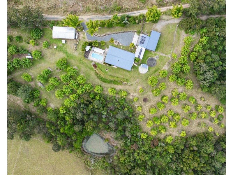 1742 Wooli Road, Pillar Valley NSW 2462