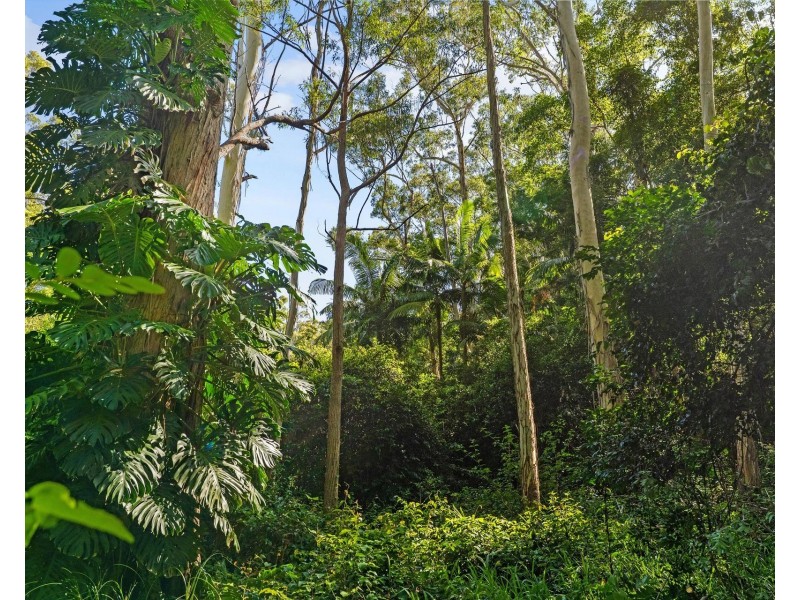 996 Firth Heinz Road, Pillar Valley NSW 2462